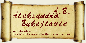 Aleksandra Bukejlović vizit kartica